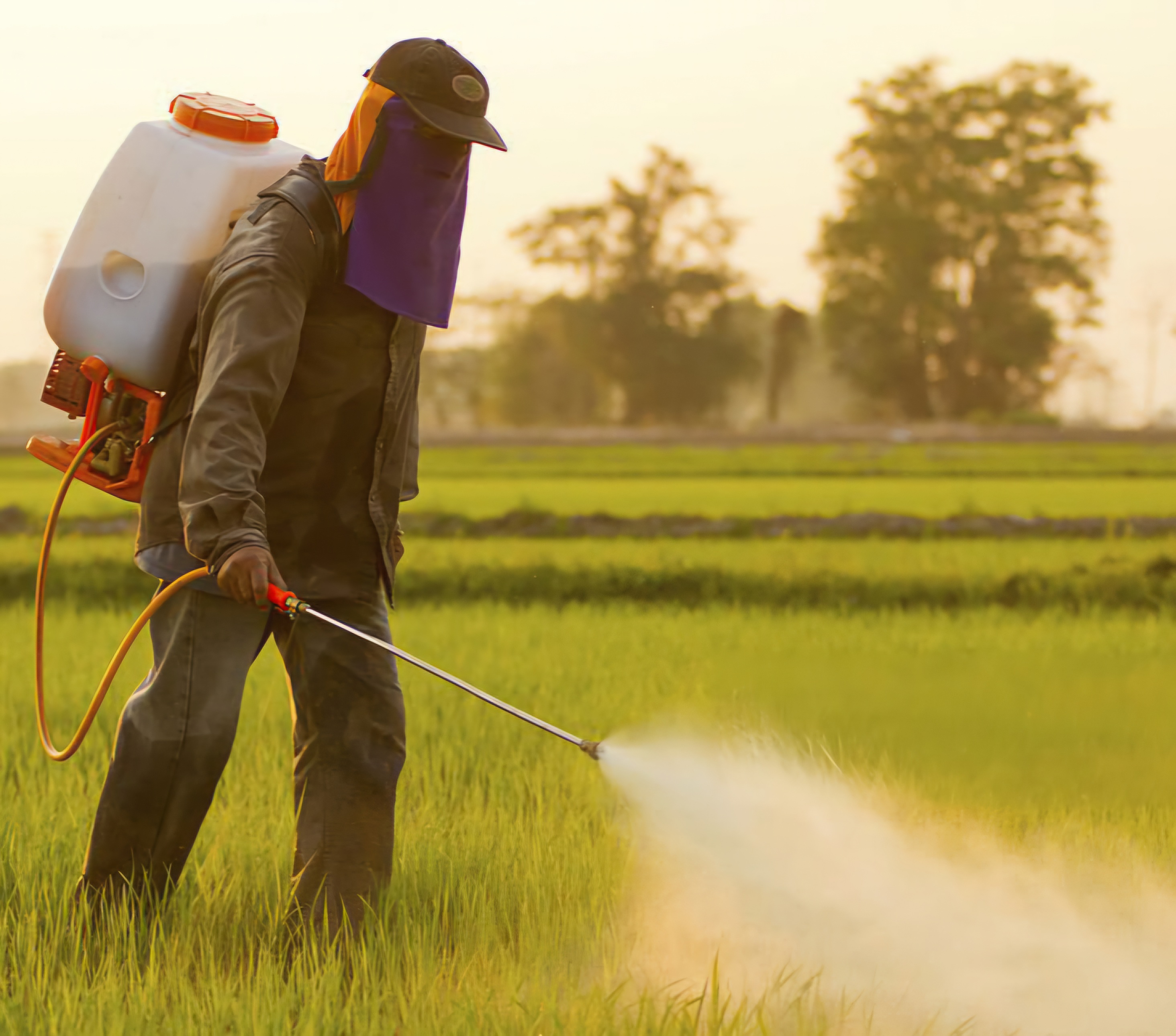 Major Uses of Pesticides